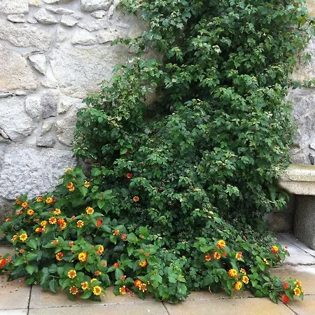 Casa D'avo Beatriz Βιάνα ντο Καστέλο